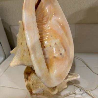 CONCHE SHELL NIGHT LIGHT