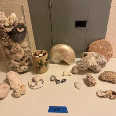 SHELLS, ETC.