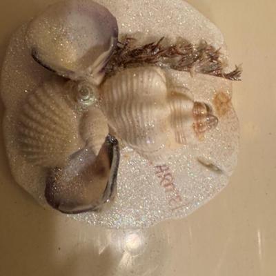 SHELLS, ETC.