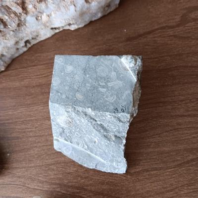 FOSSILS, CRYSTALS AND ROCKS