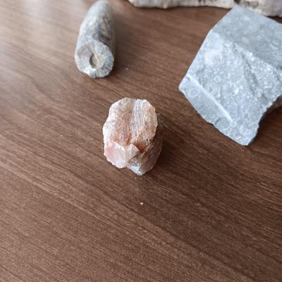 FOSSILS, CRYSTALS AND ROCKS