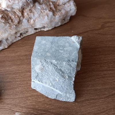 FOSSILS, CRYSTALS AND ROCKS