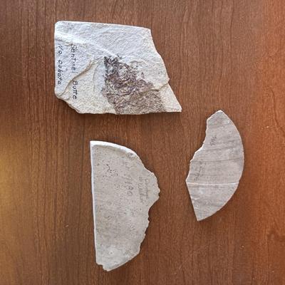 FOSSILS, CRYSTALS AND ROCKS