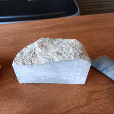 FOSSILS, MINERALS AND ROCKS