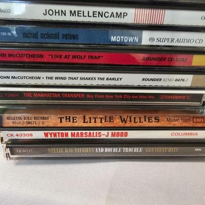 Mega Assortment of CDs - Over 300 Discs! (DR2-JS)