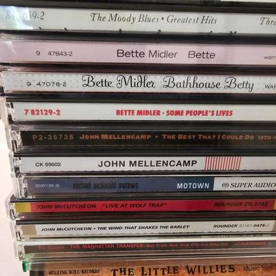 Mega Assortment of CDs - Over 300 Discs! (DR2-JS)