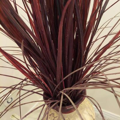 Three Decorative Dried Grasses (BSR-BBL)