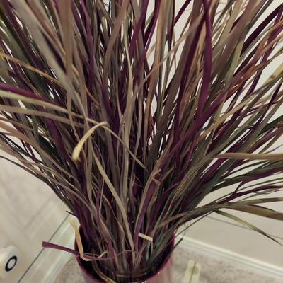 Three Decorative Dried Grasses (BSR-BBL)