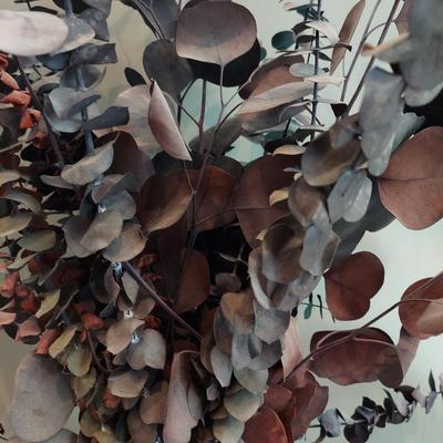 Vase w/ Eucalyptus and more Decor (LR-BBL)