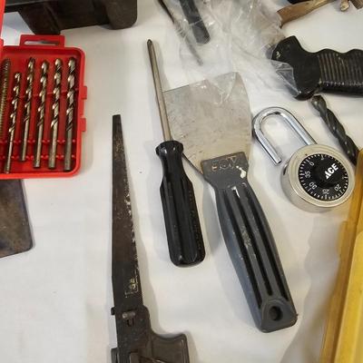 Huge Assortment of Hardware, Tools & Tarps (G-JS)