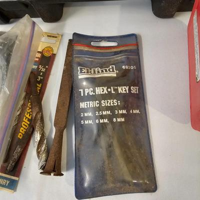 Huge Assortment of Hardware, Tools & Tarps (G-JS)