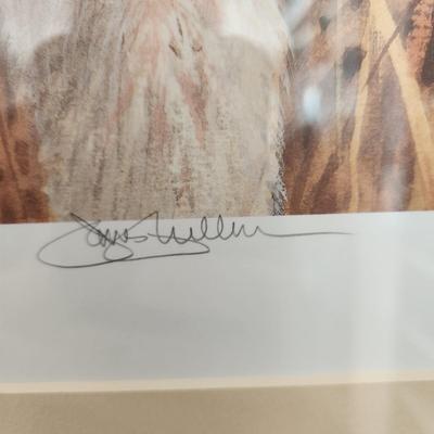 That's My Dog Brittany by James H. Killen Signed