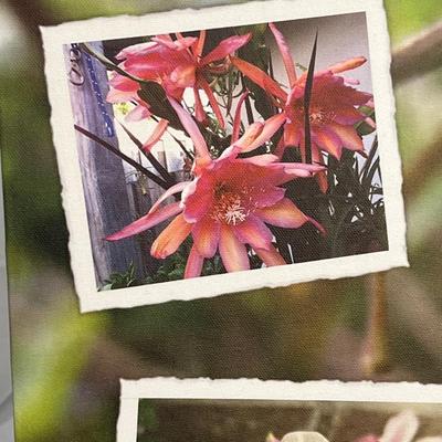 Pink Flowers #1 Canvas Print