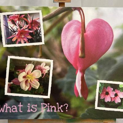 Pink Flowers #1 Canvas Print