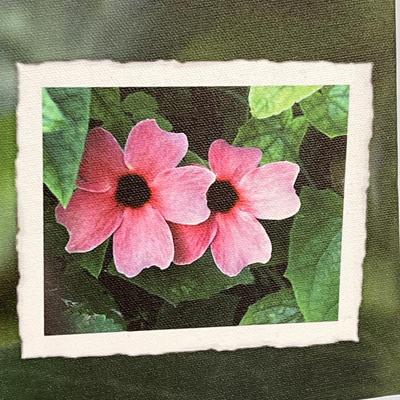 Pink Flowers #1 Canvas Print