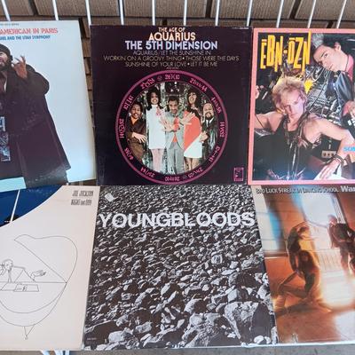 A COLLECTION OF VINYL RECORD ALBUMS (2)