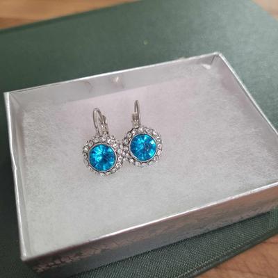 Costume Jewelry -Blue And Diamond Earrings