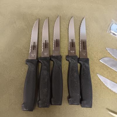 SET OF GOURMET TRADITIONS CUTLERY AND AN EDDIE BAUER SHARPENER