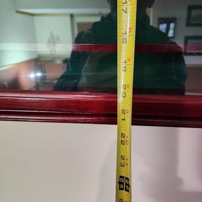 Glass Cover 49 Golf Ball Display Case for Wall or Shelf