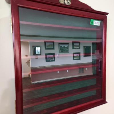 Glass Cover 49 Golf Ball Display Case for Wall or Shelf