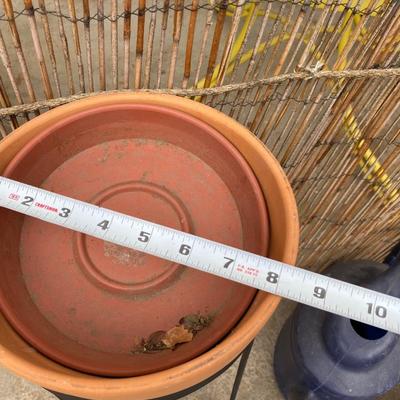 SPRING IS IN THE AIR