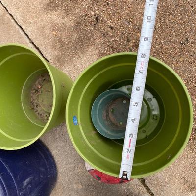 SPRING IS IN THE AIR