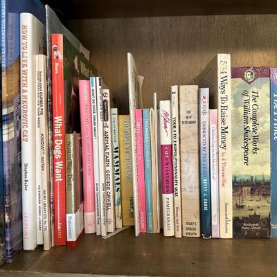 LARGE VARIETY OF BOOKS (5)