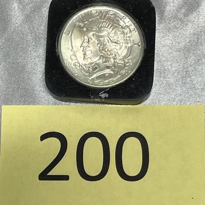 Peace Dollar & penny paperweight