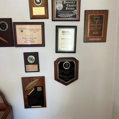 Lot of Awards