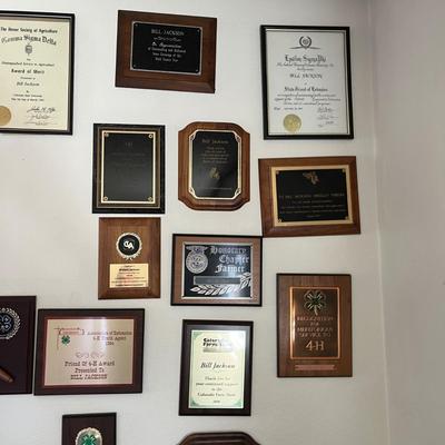 Lot of Awards