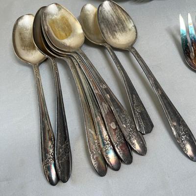 Silver plate flatware & bowl