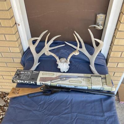 DAISY BUCK BB GUN AND ANTLERS