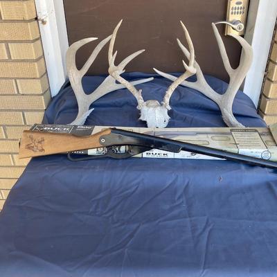DAISY BUCK BB GUN AND ANTLERS