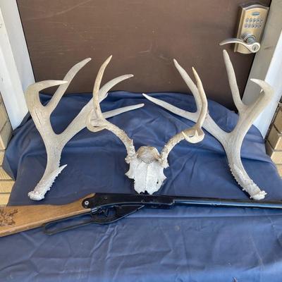 DAISY BUCK BB GUN AND ANTLERS