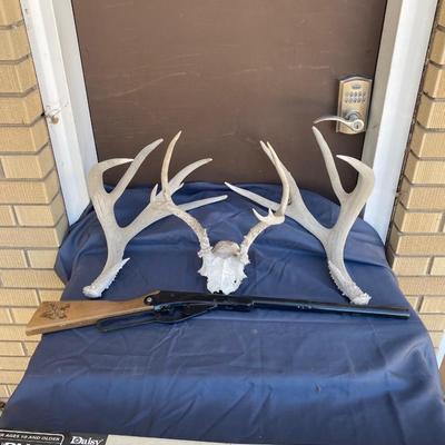 DAISY BUCK BB GUN AND ANTLERS