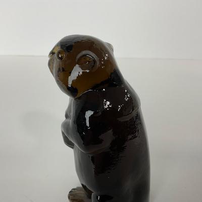 -137- IMPERIAL | Dark Brown Woodchuck Beaver | Marked
