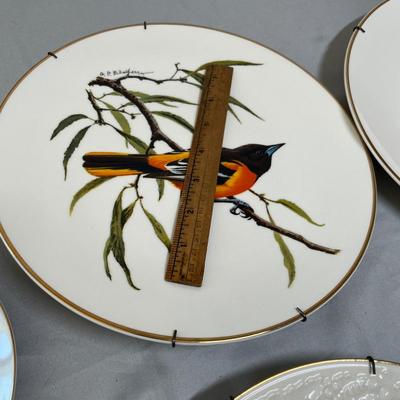 Lot of collectors plates