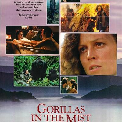 Gorillas in the Mist Original 1988 Vintage One Sheet Poster