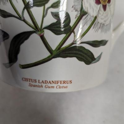 Port Meirion Botanic Garden Pattern Pitcher