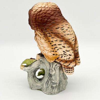 ANDREA BY SADEK ~ Elf Owl