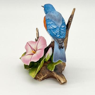 ANDRE BY SADEK ~ Eastern Bluebird