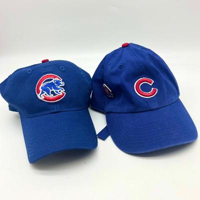 CUBS FAN LOT