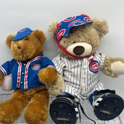 CUBS FAN LOT