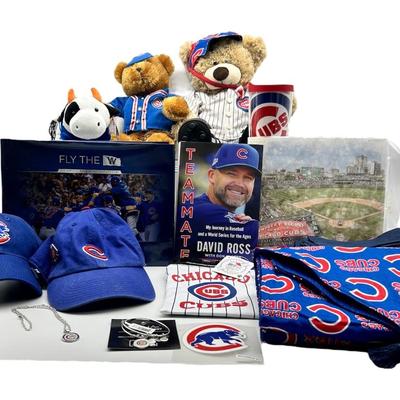 CUBS FAN LOT