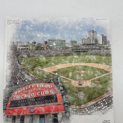 CUBS FAN LOT