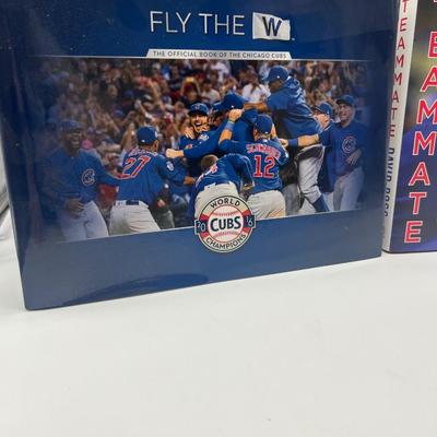 CUBS FAN LOT