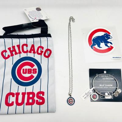 CUBS FAN LOT