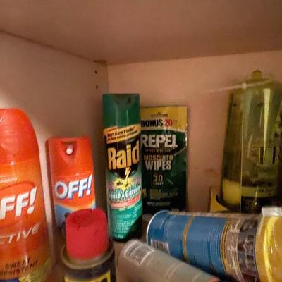 HOUSEHOLD CHEMICALS AND BUG REPELLANT