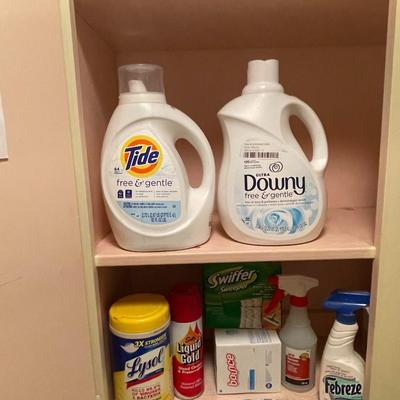 LAUNDRY AND HOUSEHOLD CLEANERS