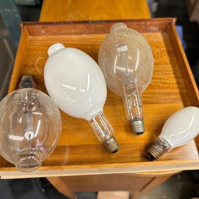 Lot of 4 large lightbulbs